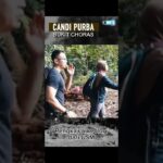 Asal Usul Perkataan Empayar dan Maknanya dalam Sejarah